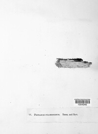Image Associated With the Occurence